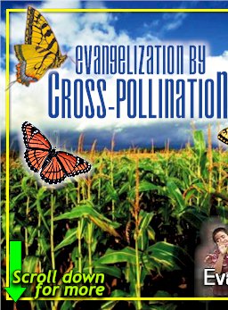 Evangelization by Cross-Pollination