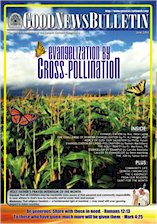 EVANGELIZATION BY CROSS-POLLINATION - June 2004 Issue