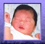 John Arlo F. Sanchez